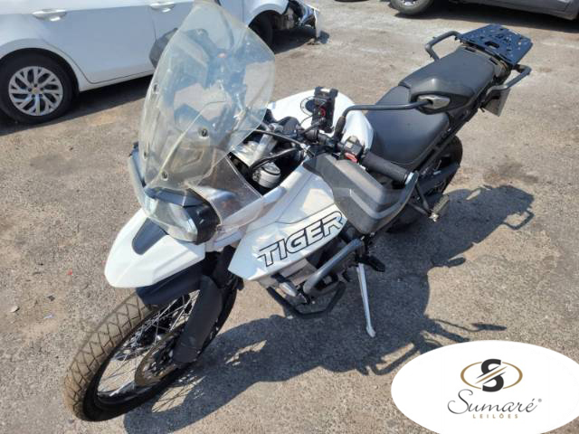 TRIUMPH TIGER 20/20 TRIUMPH TIGER 20/20